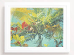 The Tropical Blue Wind