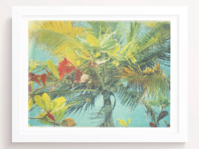 The Tropical Blue Wind