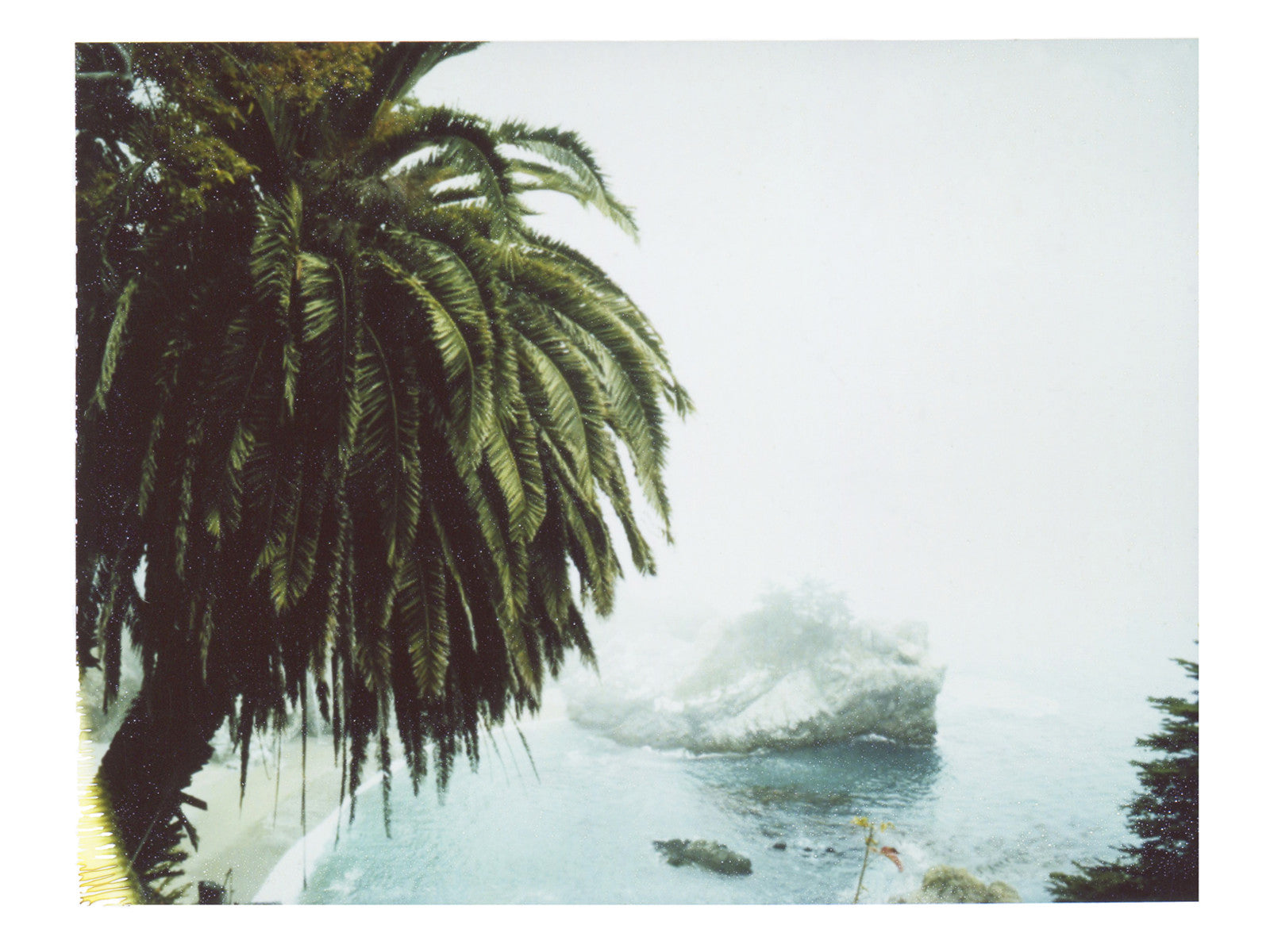 A Deep Breath Of Beach And Fog (California) - She Hit Pause