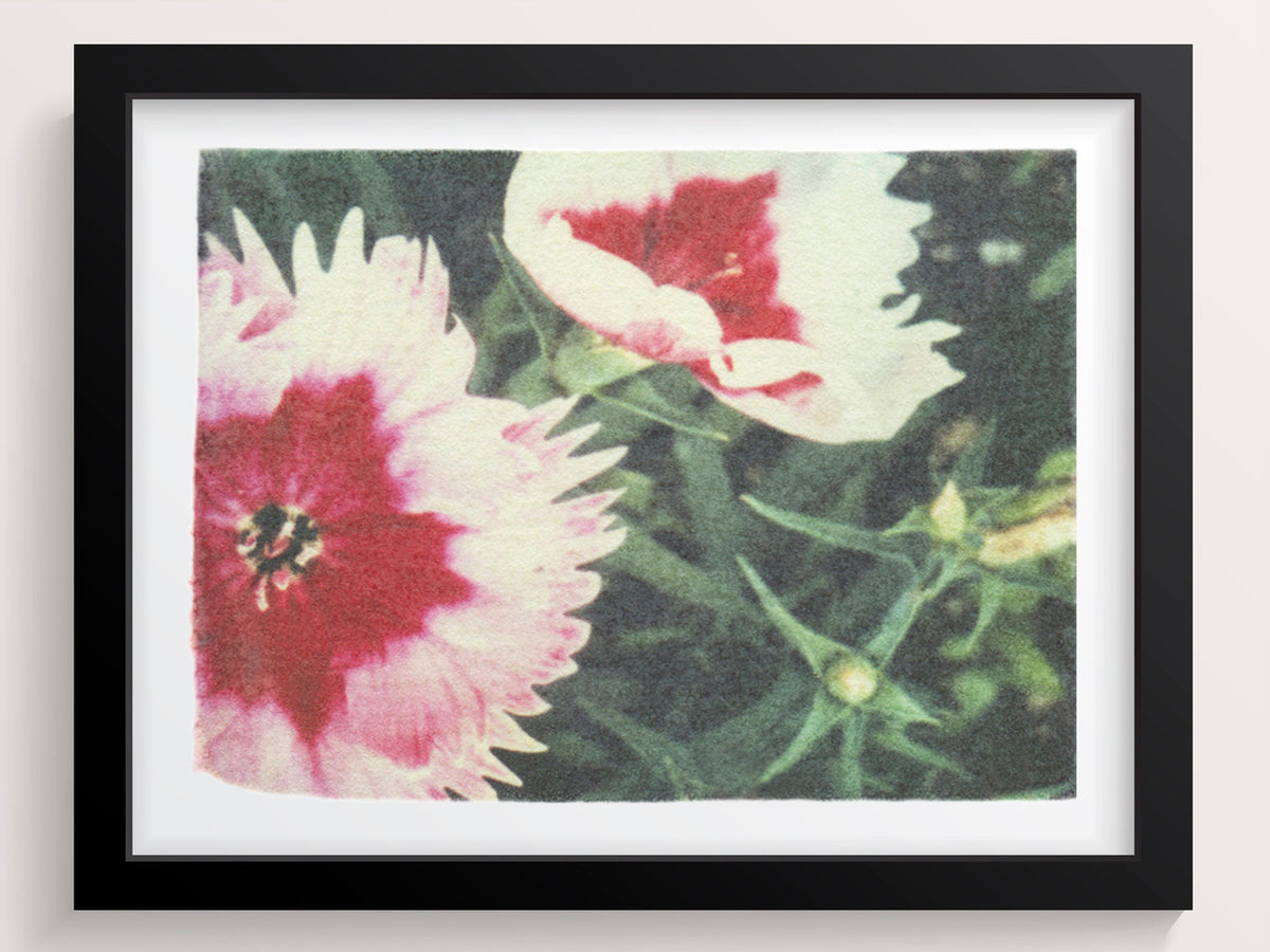 Holding onto color - She Hit Pause