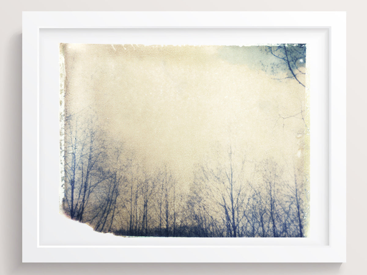 I Prefer You Fragile - She Hit Pause