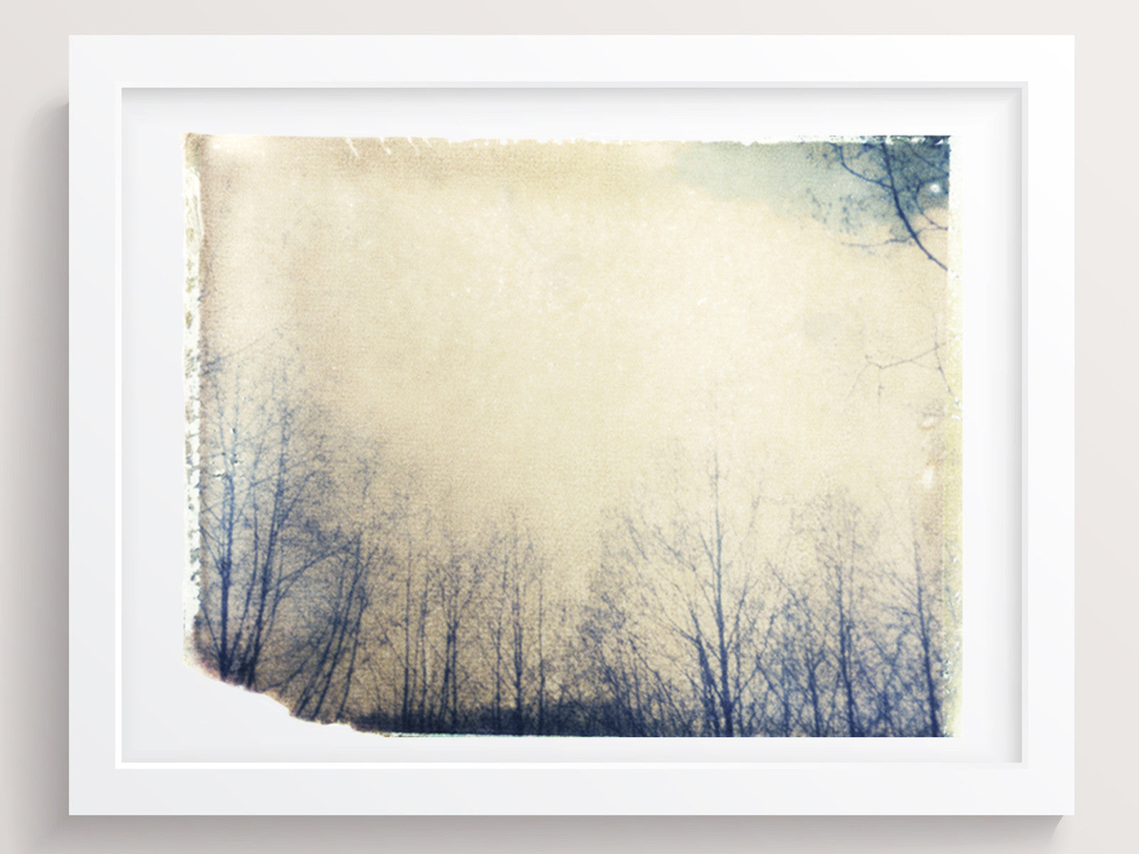 I Prefer You Fragile - She Hit Pause