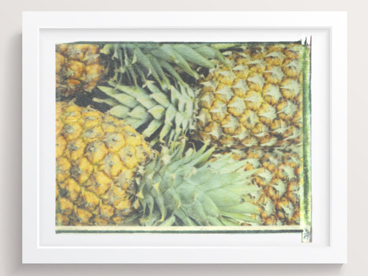 I Watched You Grow Beautiful - She Hit Pause