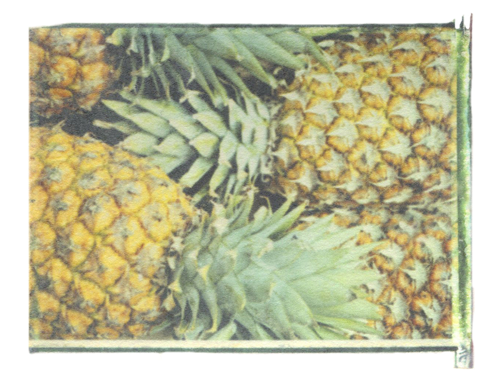 I Watched You Grow Beautiful - She Hit Pause