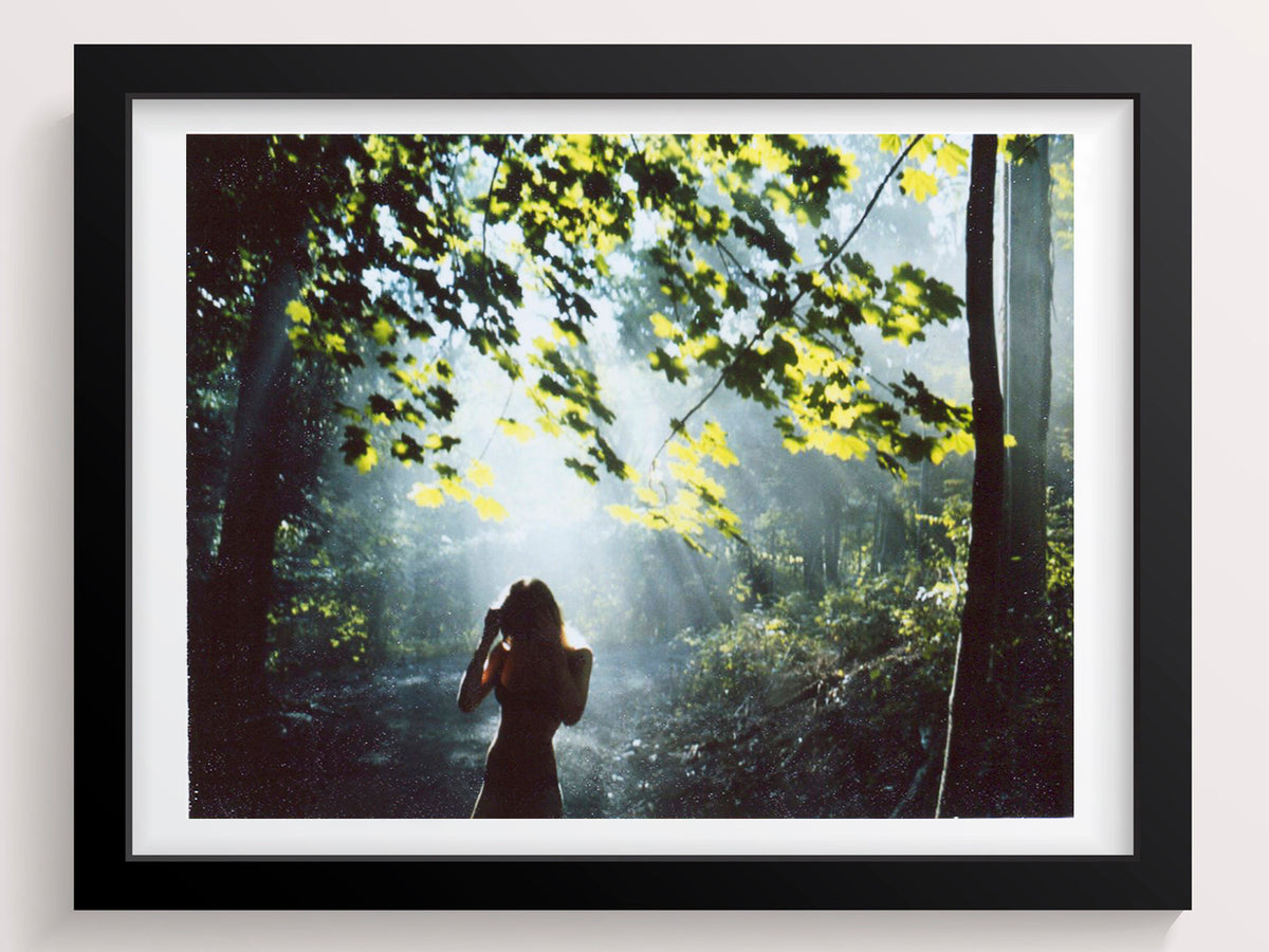 In A Light I Never Knew - She Hit Pause