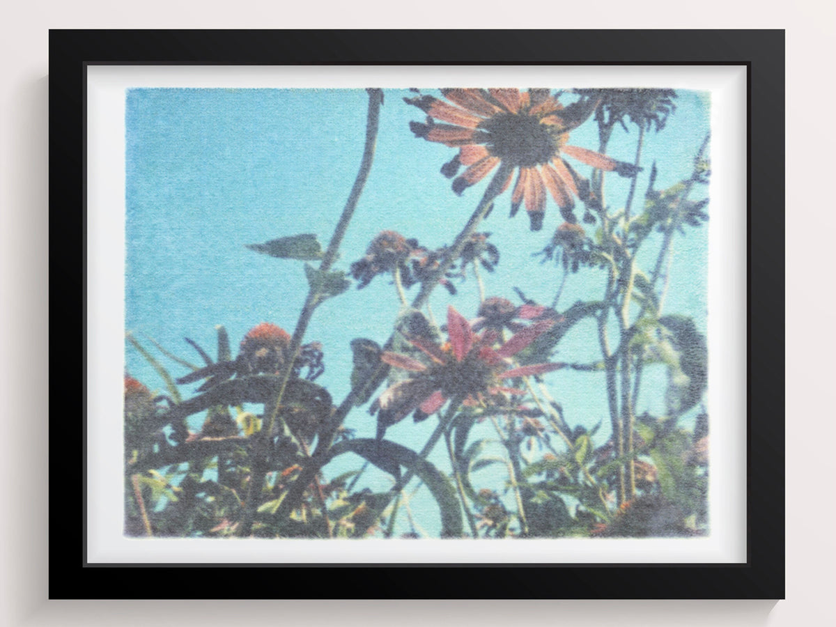 Leaning like flowers towards sunlight - She Hit Pause