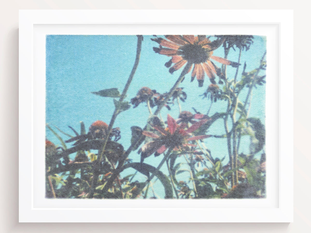 Leaning like flowers towards sunlight - She Hit Pause