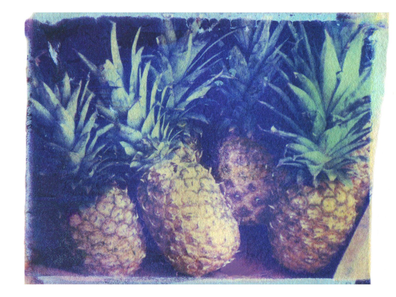 Pineapples - She Hit Pause