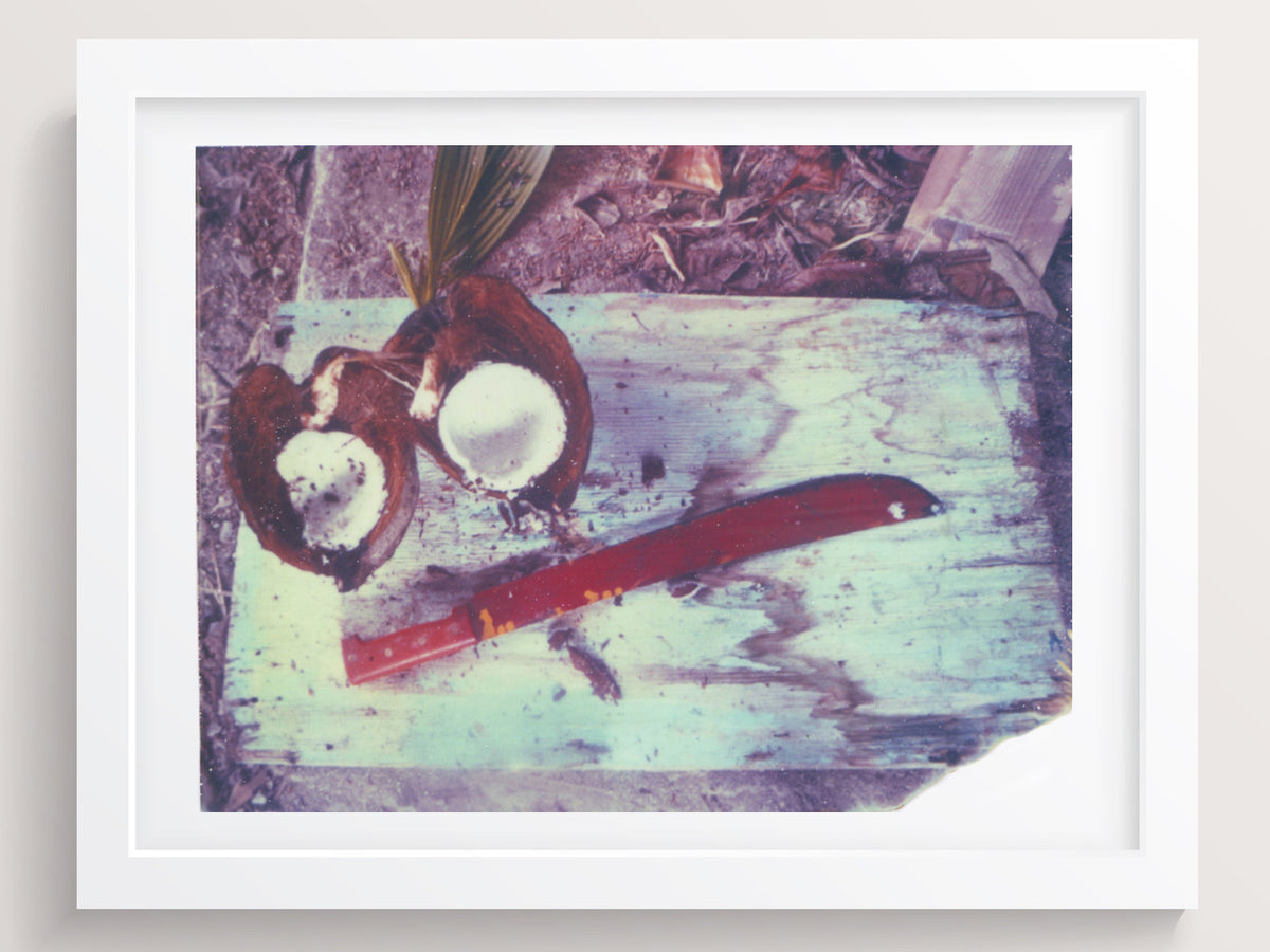 Red, Blue + Coconut - She Hit Pause