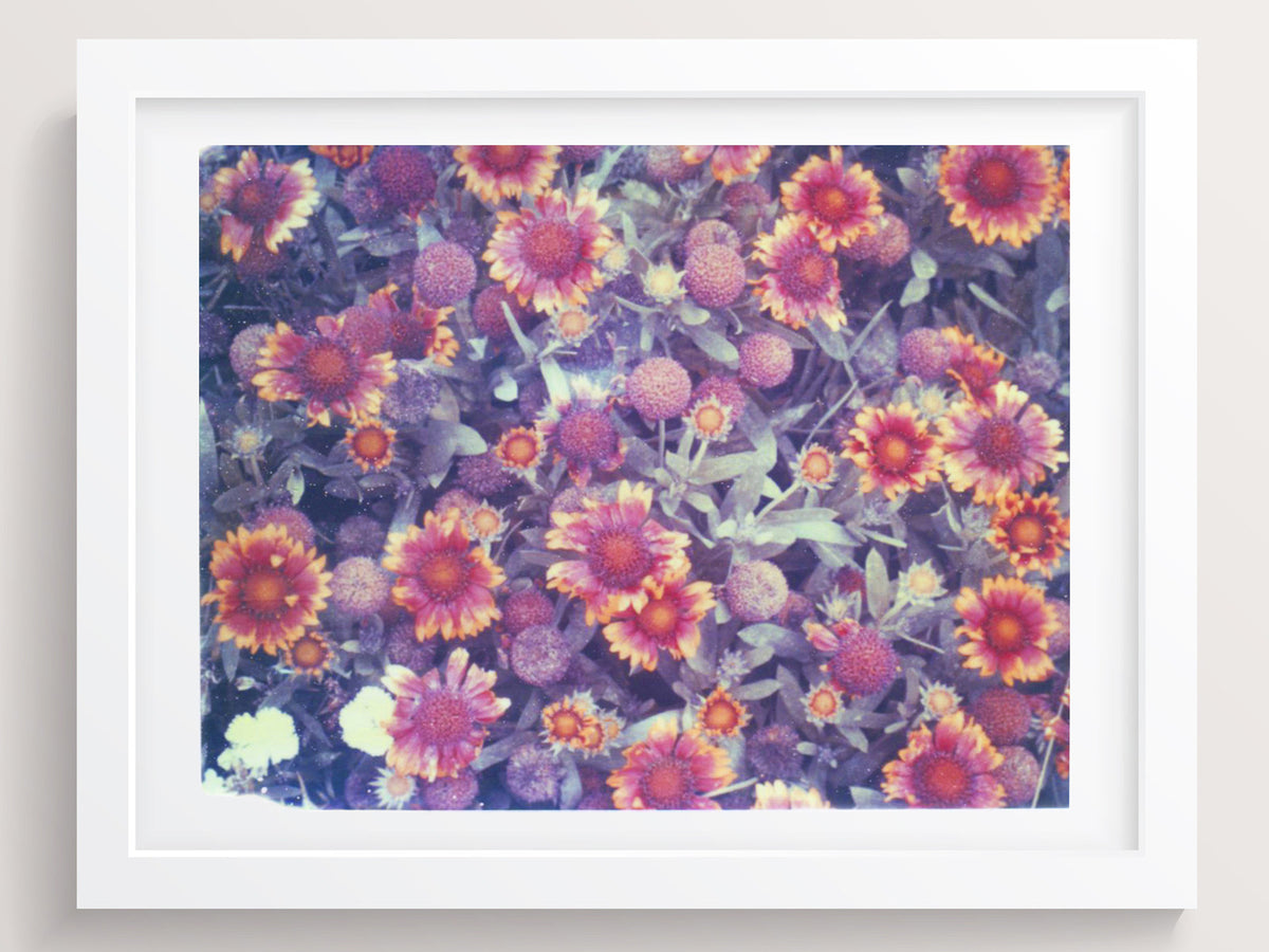 Red To Orange To Yellow - She Hit Pause