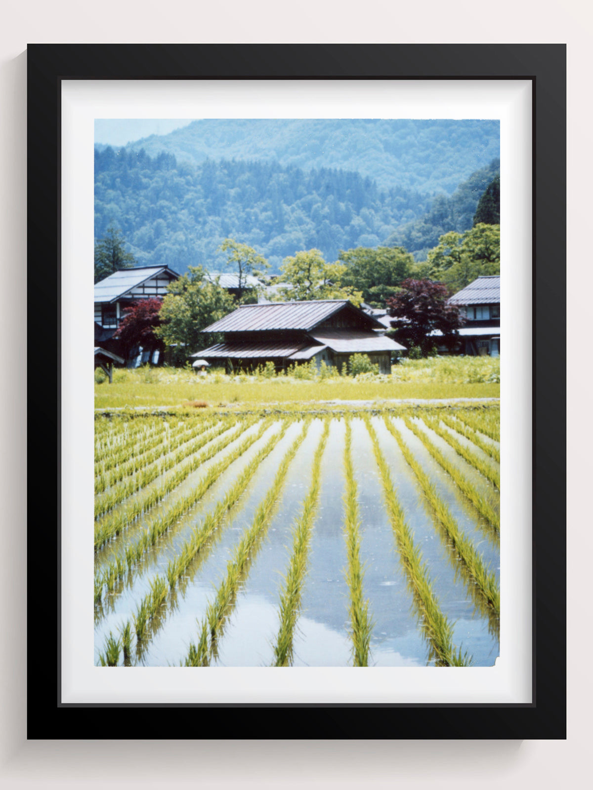 Symmetry, I found you - She Hit Pause