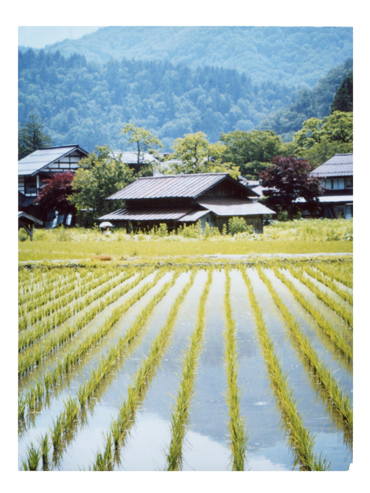 Symmetry, I found you - She Hit Pause