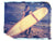 San Onofre - She Hit Pause