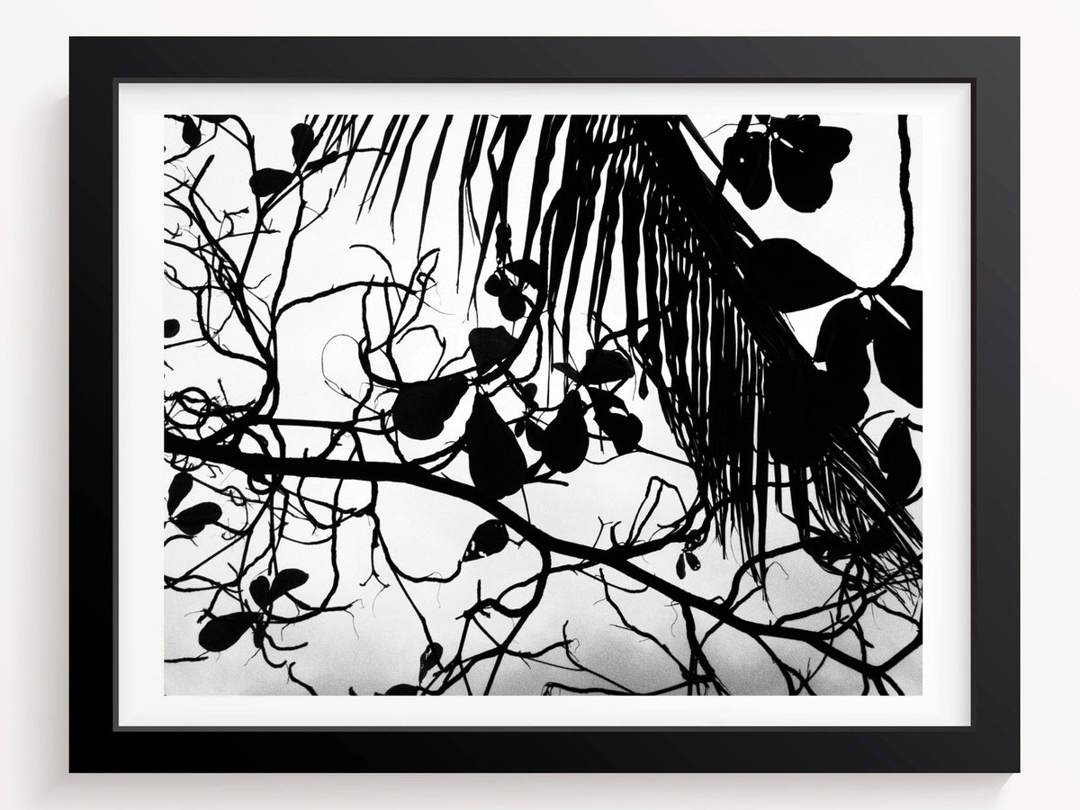 The earths, wild wooden shapes - She Hit Pause