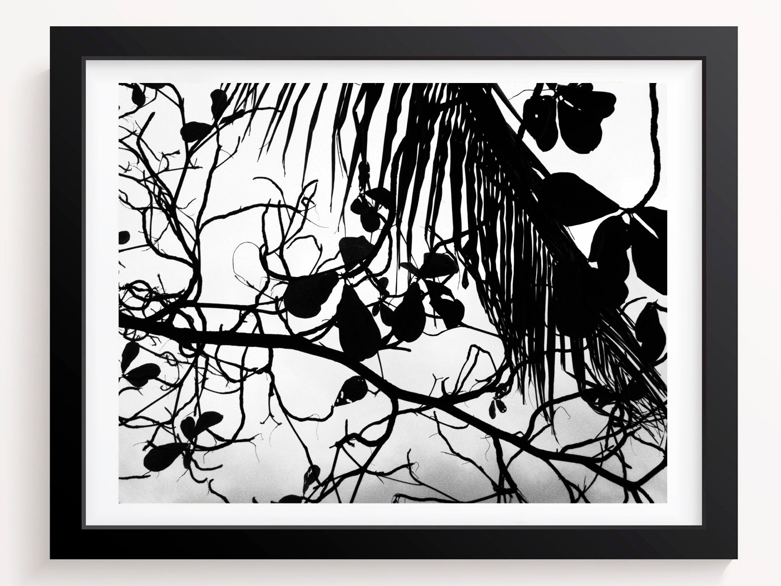 The earths, wild wooden shapes - She Hit Pause