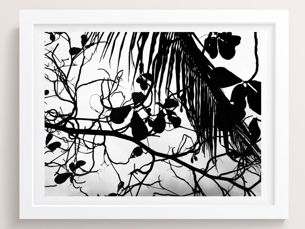 The earths, wild wooden shapes - She Hit Pause