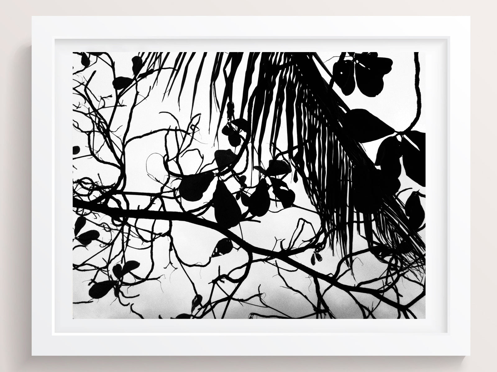 The earths, wild wooden shapes - She Hit Pause