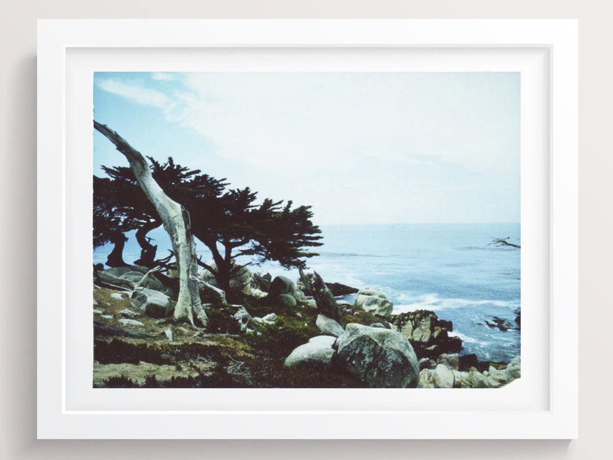 She Claimed This View Her Favorite (California) - She Hit Pause