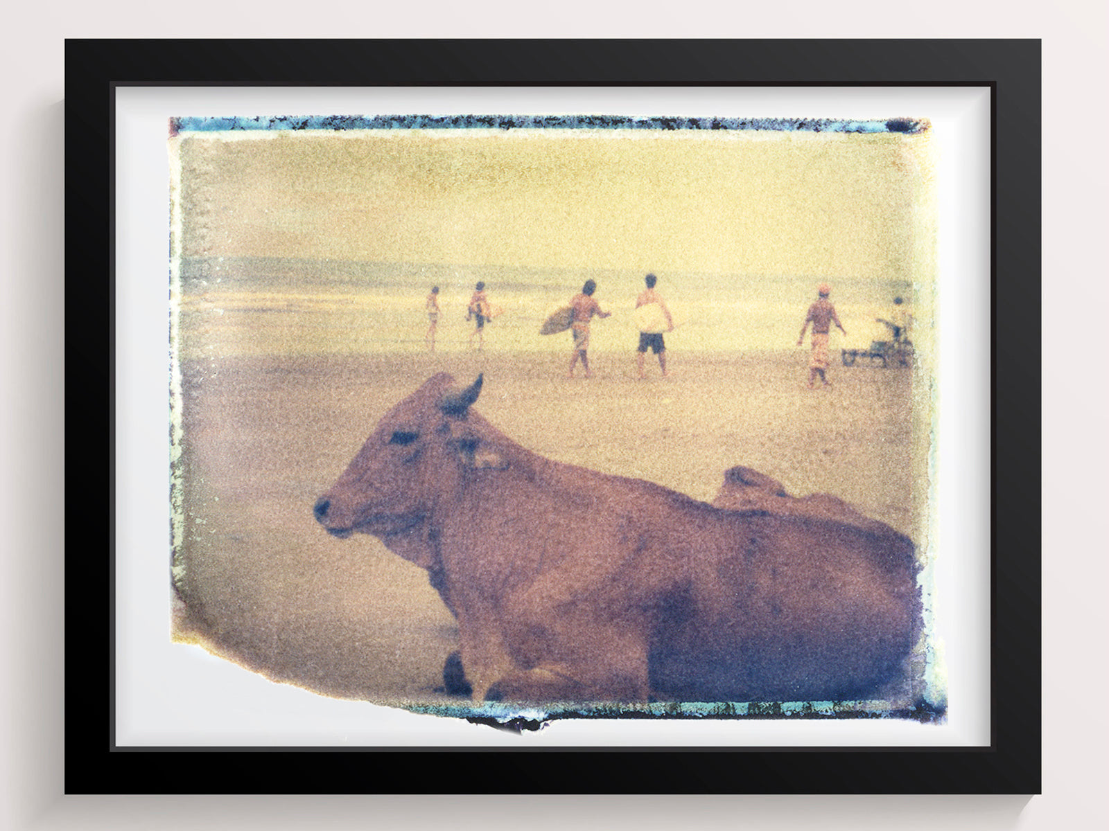 Surf Cow - She Hit Pause
