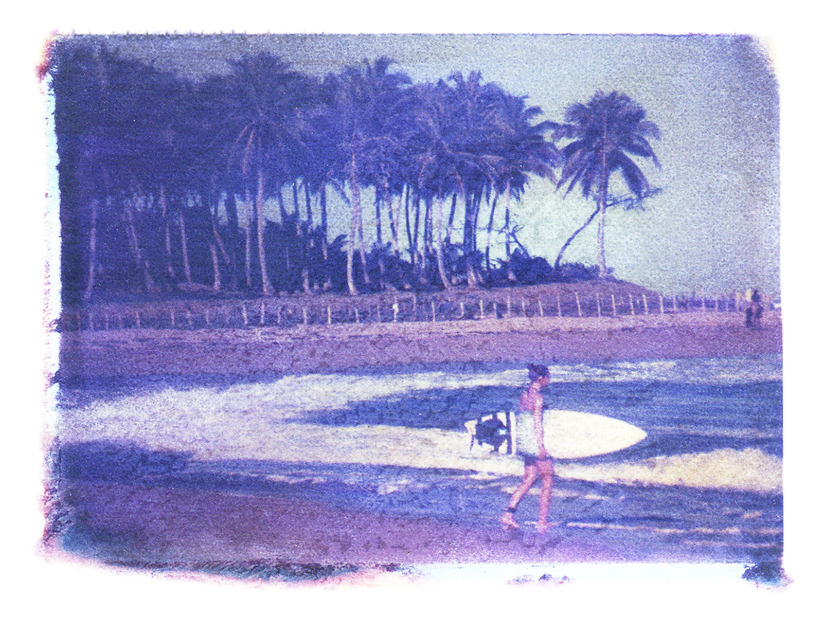 Surfer Girl + Palms - She Hit Pause