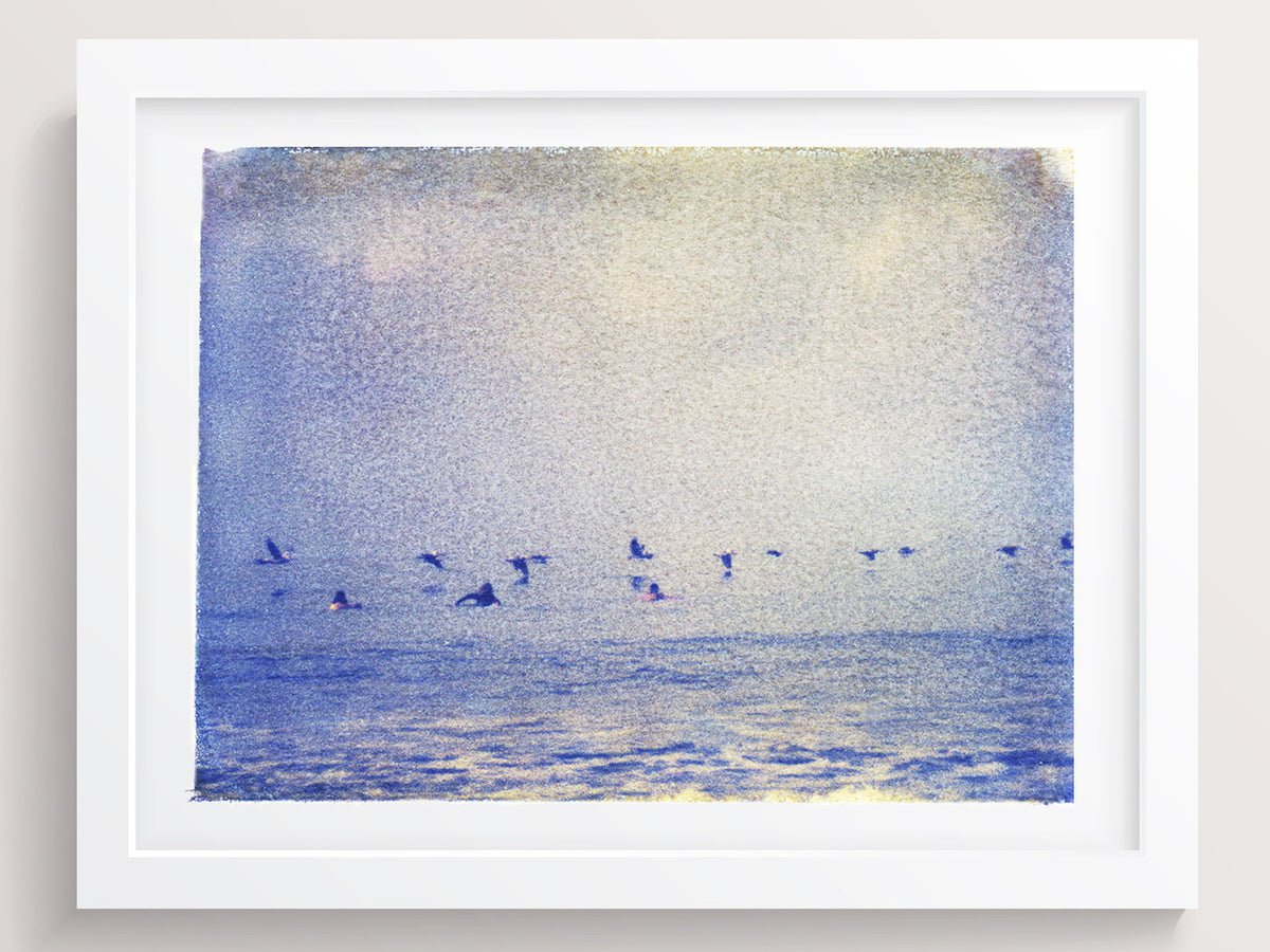 Surfers + Pelicans - She Hit Pause