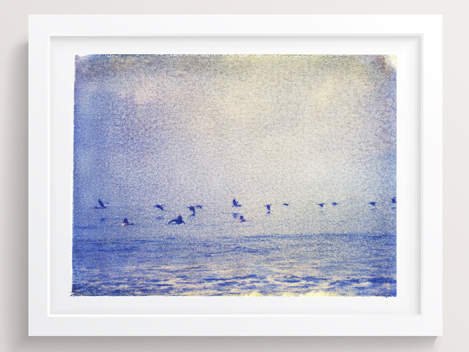 Surfers + Pelicans - She Hit Pause