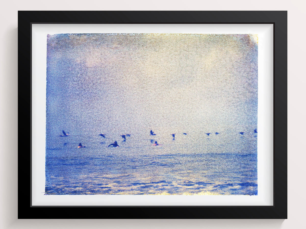 Surfers + Pelicans - She Hit Pause