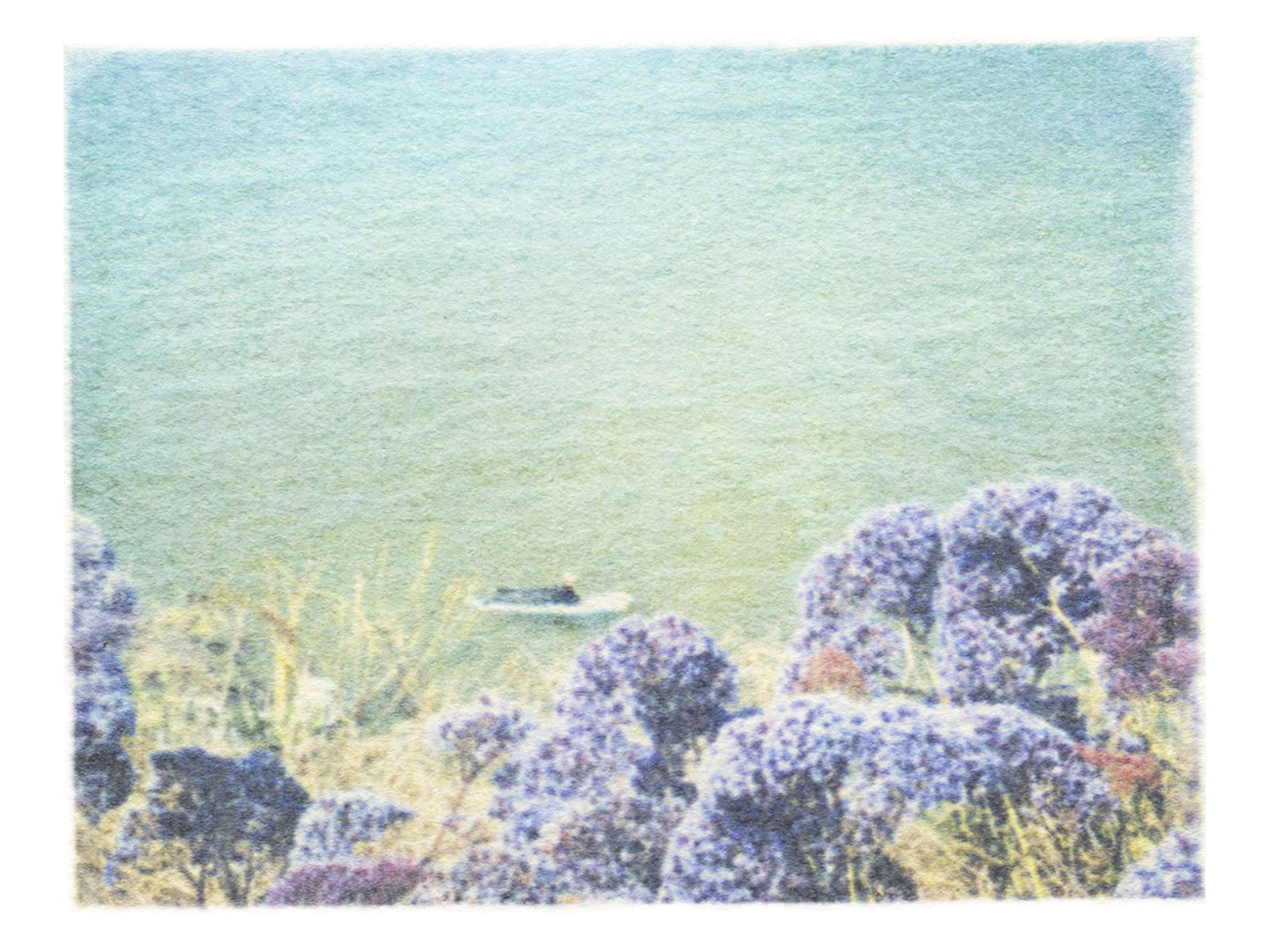 Surfing Through Gardens - She Hit Pause