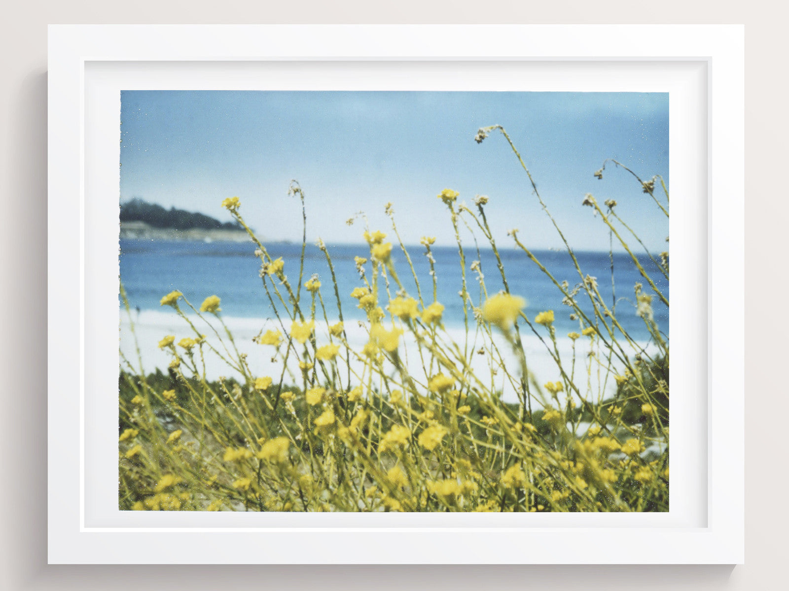 The Colors Of Wind And Warmth - She Hit Pause