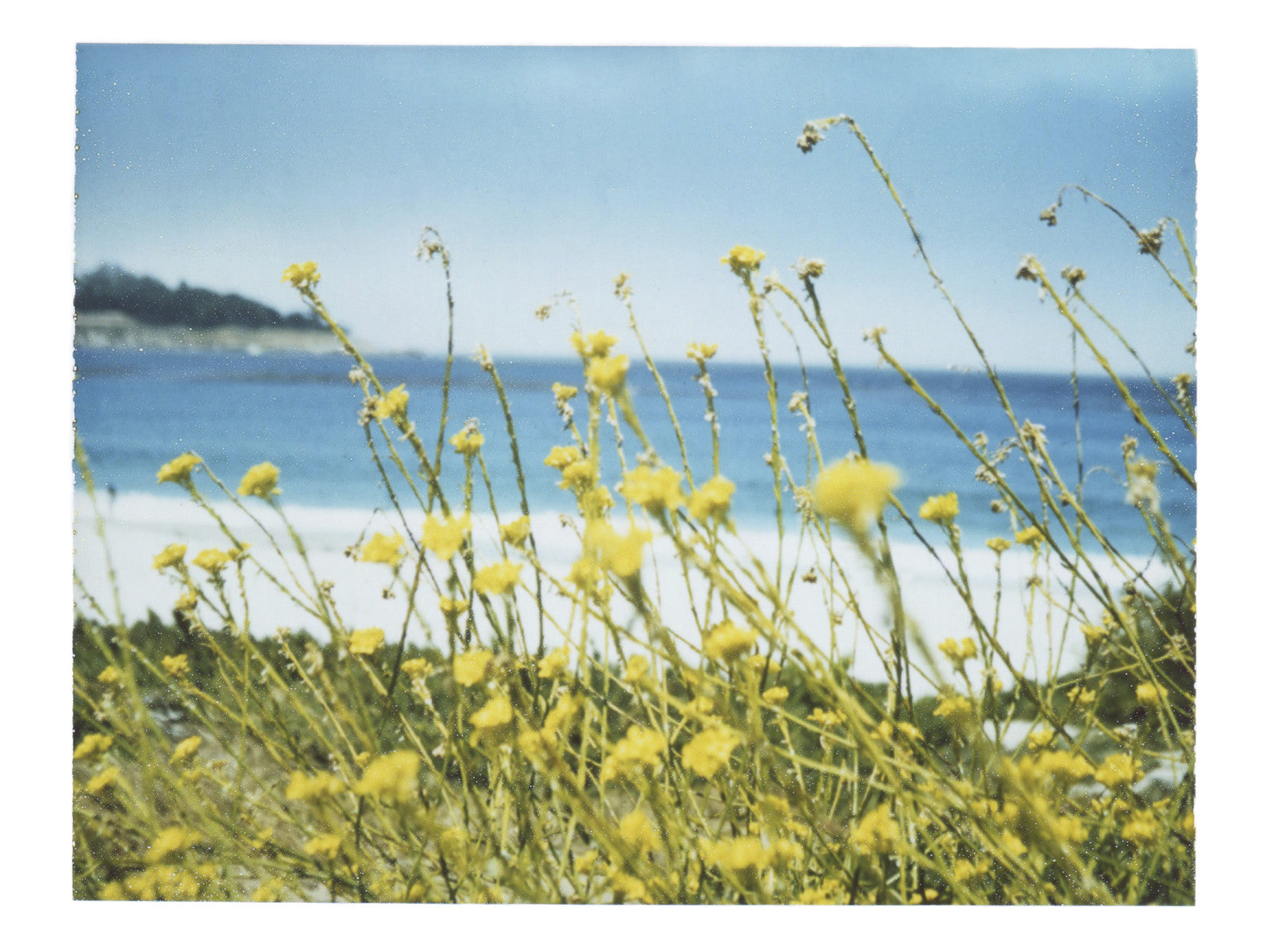 The Colors Of Wind And Warmth - She Hit Pause