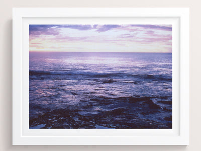 The lavender I tried to tell you about - She Hit Pause