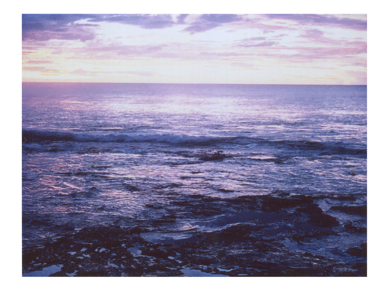 The lavender I tried to tell you about - She Hit Pause
