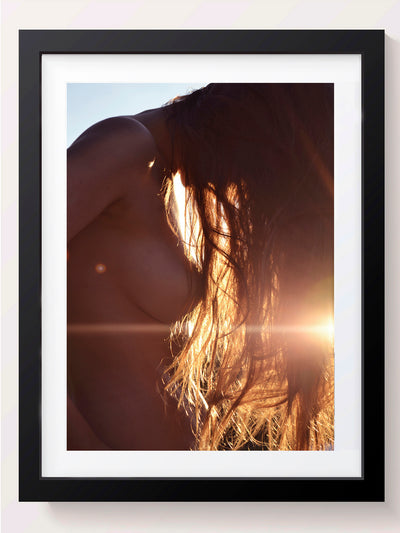 The Lens Filled With Summer - She Hit Pause