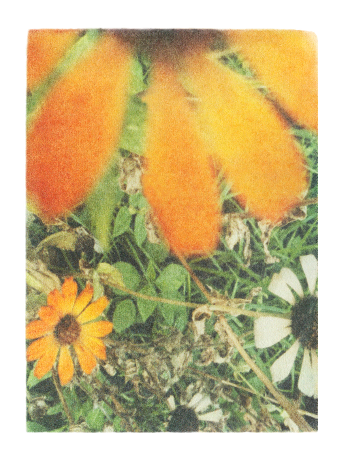 The moment I knew - She Hit Pause