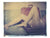 The Orange Suitcase + You - She Hit Pause