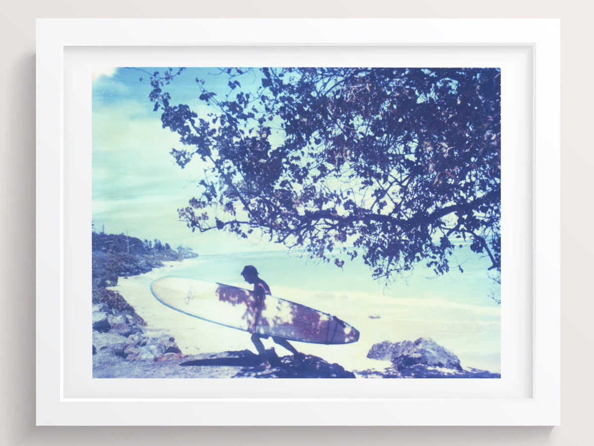 The Temporary Shadow Of Leaves (Hawaii) - She Hit Pause