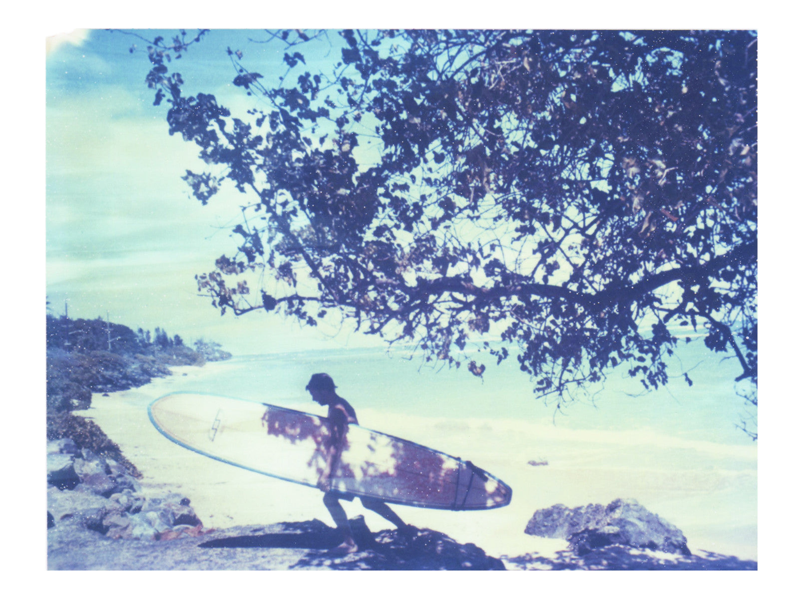 The Temporary Shadow Of Leaves (Hawaii) - She Hit Pause