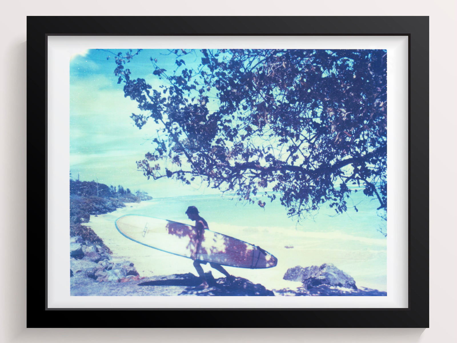 The Temporary Shadow Of Leaves (Hawaii) - She Hit Pause