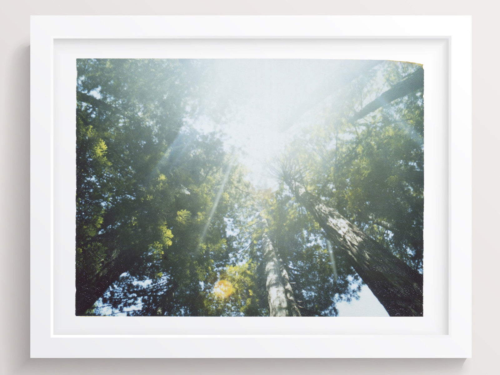 Tilting Our Heads Upwards, We Found Another World - She Hit Pause