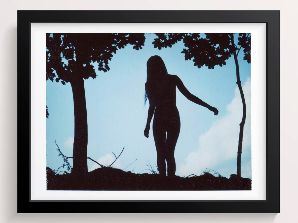 Trees That Imitate - She Hit Pause