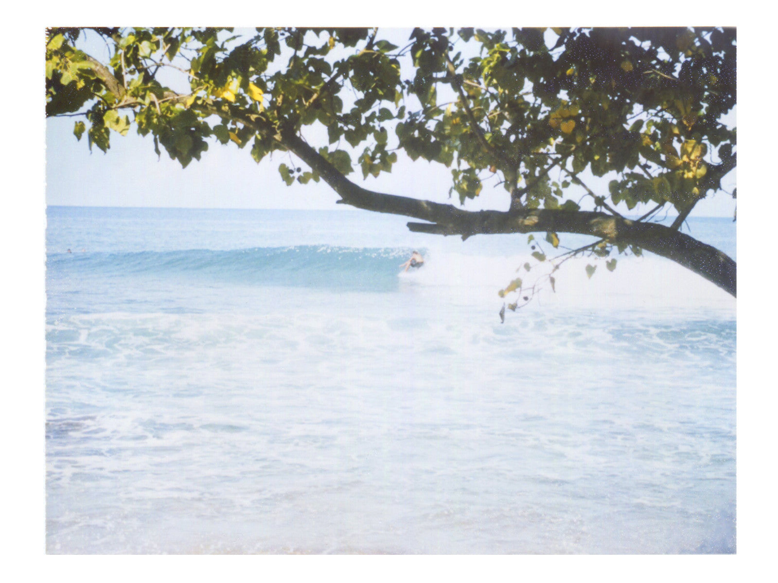 Under Branches - She Hit Pause